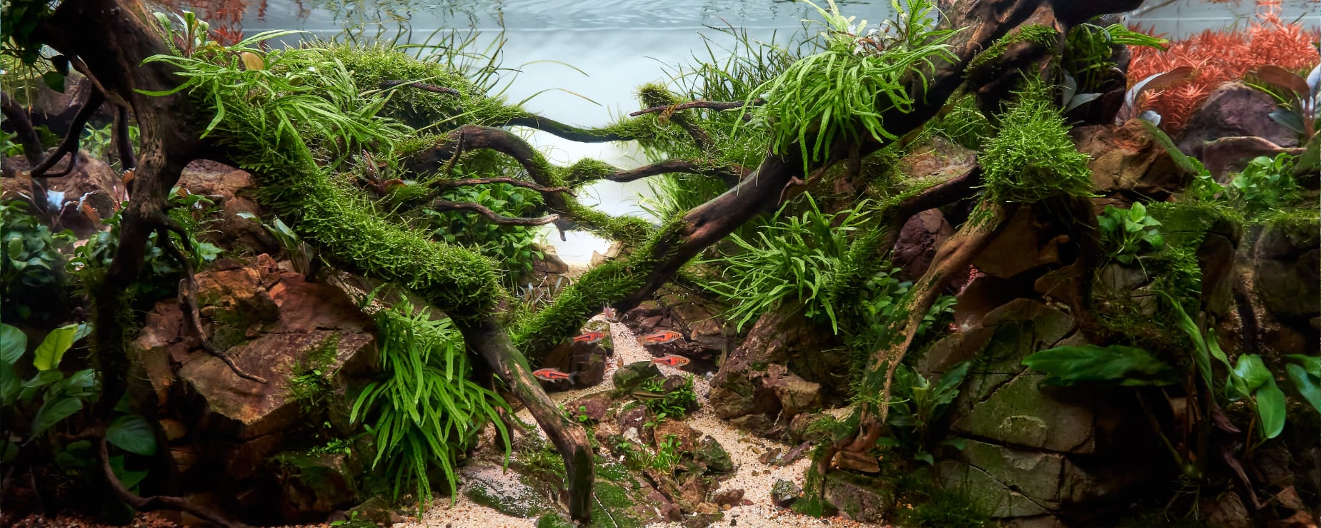 Welcome to Our Store